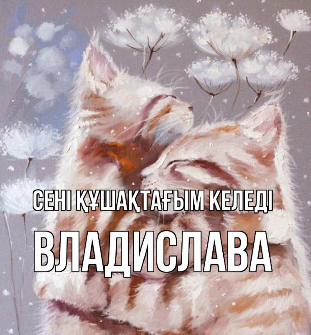 Күн сайын ашық хат с именем, Владислава сені құшақтағым келеді Море и горы Онлайн тегін жүктеп алу тілектері бар керемет карта 