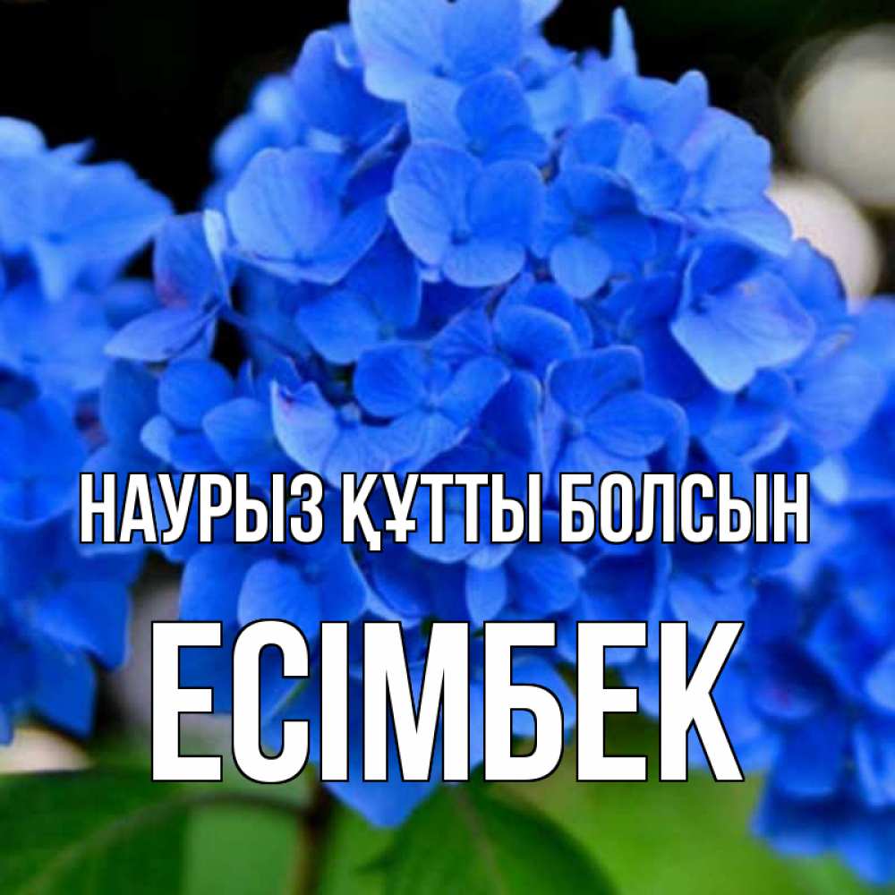 Күн сайын ашық хат с именем, Есімбек Наурыз құтты болсын синие цветы Онлайн тегін жүктеп алу тілектері бар керемет карта 
