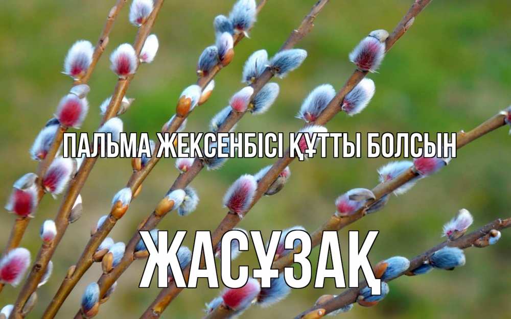 Күн сайын ашық хат с именем, Жасұзақ Пальма жексенбісі құтты болсын верба Онлайн тегін жүктеп алу тілектері бар керемет карта 