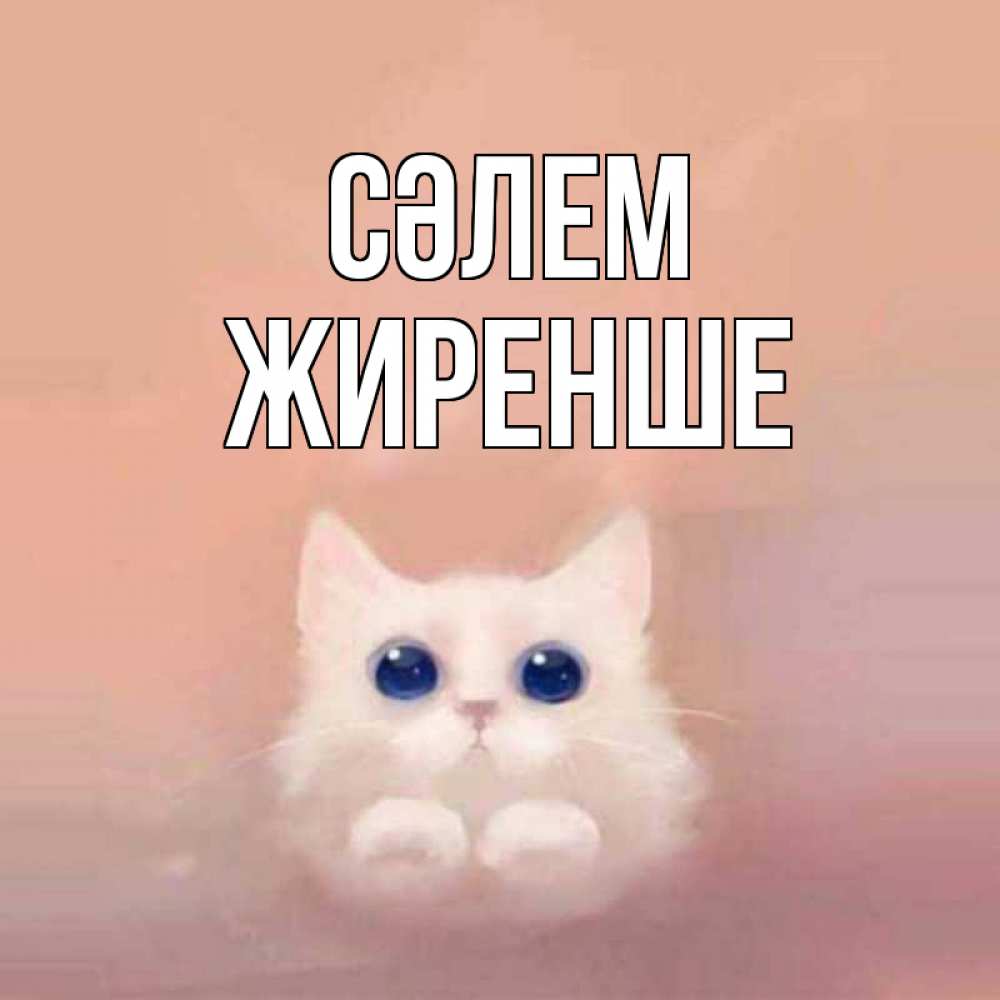 Күн сайын ашық хат с именем, Жиренше Сәлем котик белый в полете Онлайн тегін жүктеп алу тілектері бар керемет карта 