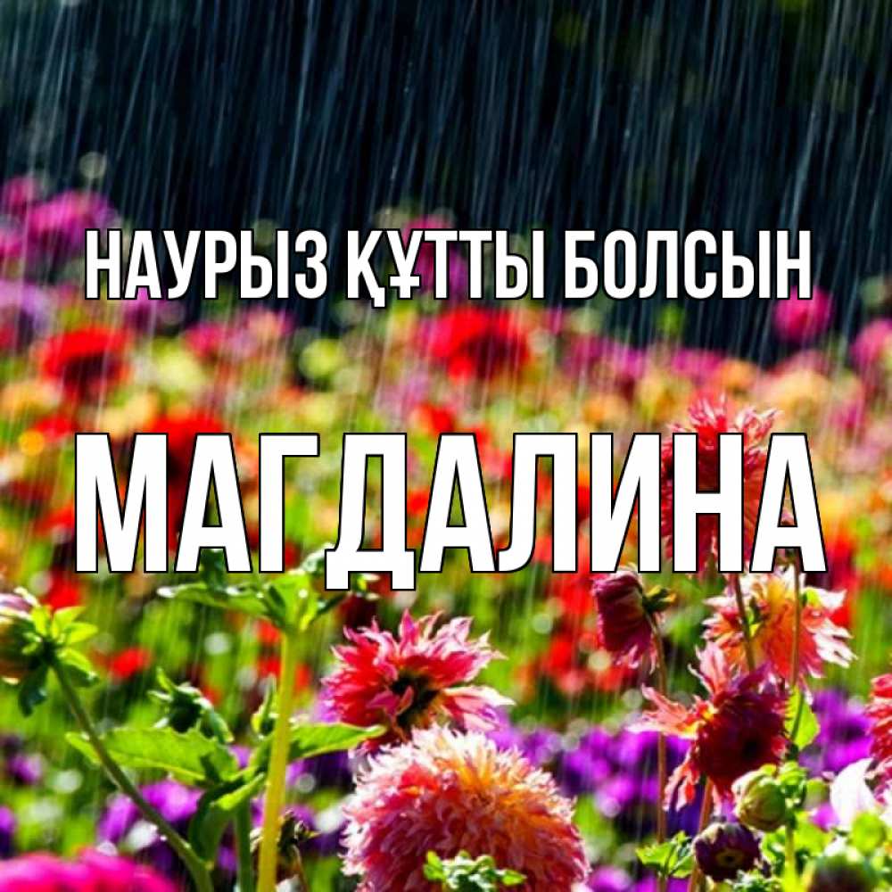 Күн сайын ашық хат с именем, Магдалина Наурыз құтты болсын цветы под дождиком к наурызу Онлайн тегін жүктеп алу тілектері бар керемет карта 