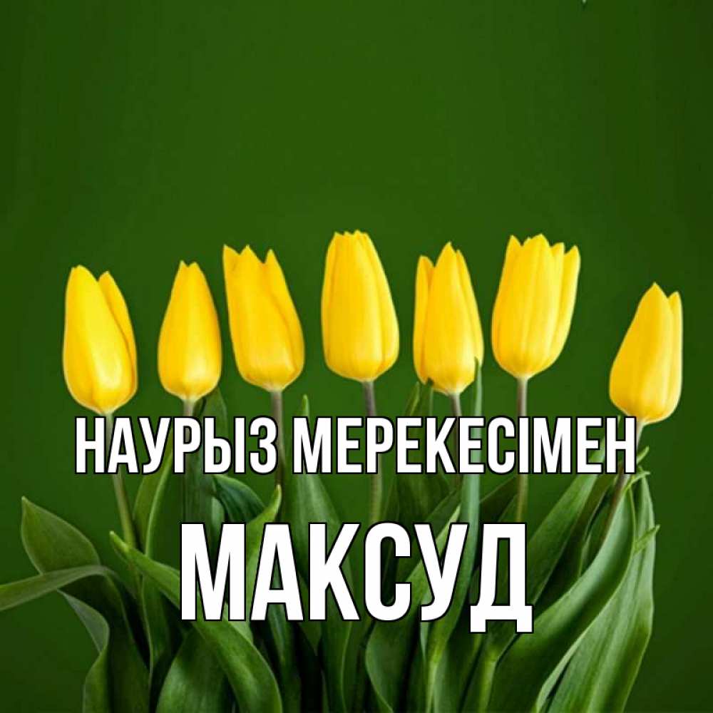 Күн сайын ашық хат с именем, Максуд Наурыз мерекесімен желтого цвета 3 Онлайн тегін жүктеп алу тілектері бар керемет карта 