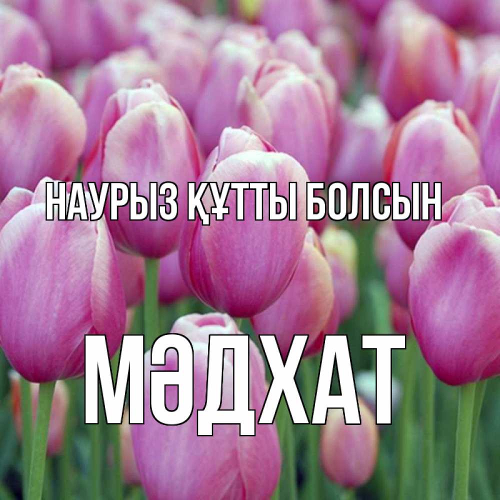 Күн сайын ашық хат с именем, МӘДХАТ Наурыз құтты болсын на наурыз  день 3 Онлайн тегін жүктеп алу тілектері бар керемет карта 