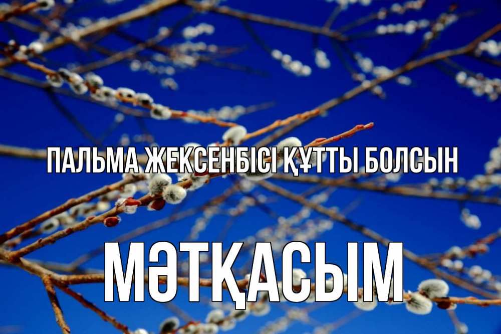 Күн сайын ашық хат с именем, МӘТҚАСЫМ Пальма жексенбісі құтты болсын верба Онлайн тегін жүктеп алу тілектері бар керемет карта 