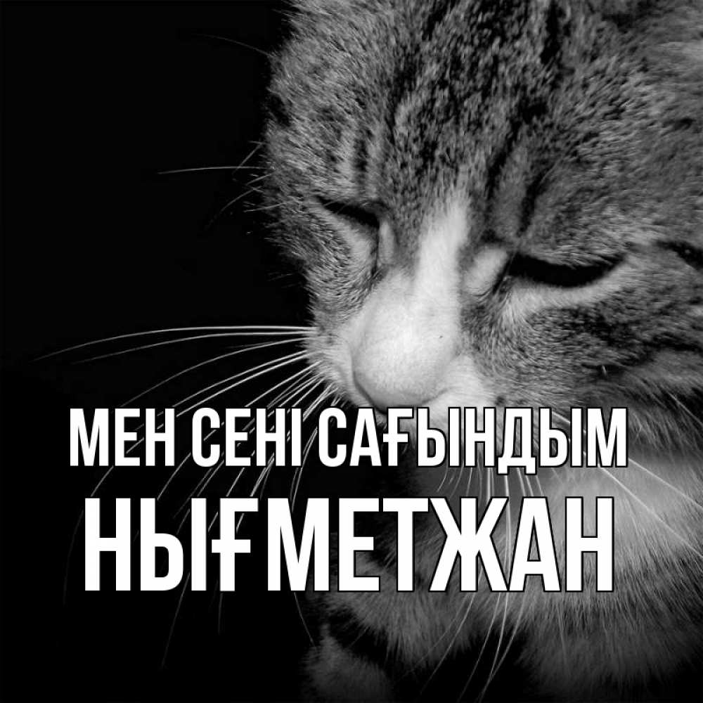 Күн сайын ашық хат с именем, НЫҒМЕТЖАН Мен сені сағындым мне скучно Онлайн тегін жүктеп алу тілектері бар керемет карта 
