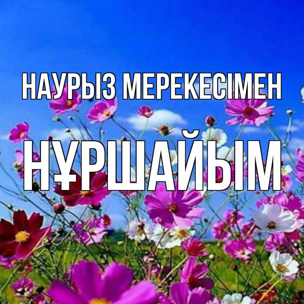 Күн сайын ашық хат с именем, НҰРШАЙЫМ Наурыз мерекесімен цветы Онлайн тегін жүктеп алу тілектері бар керемет карта 