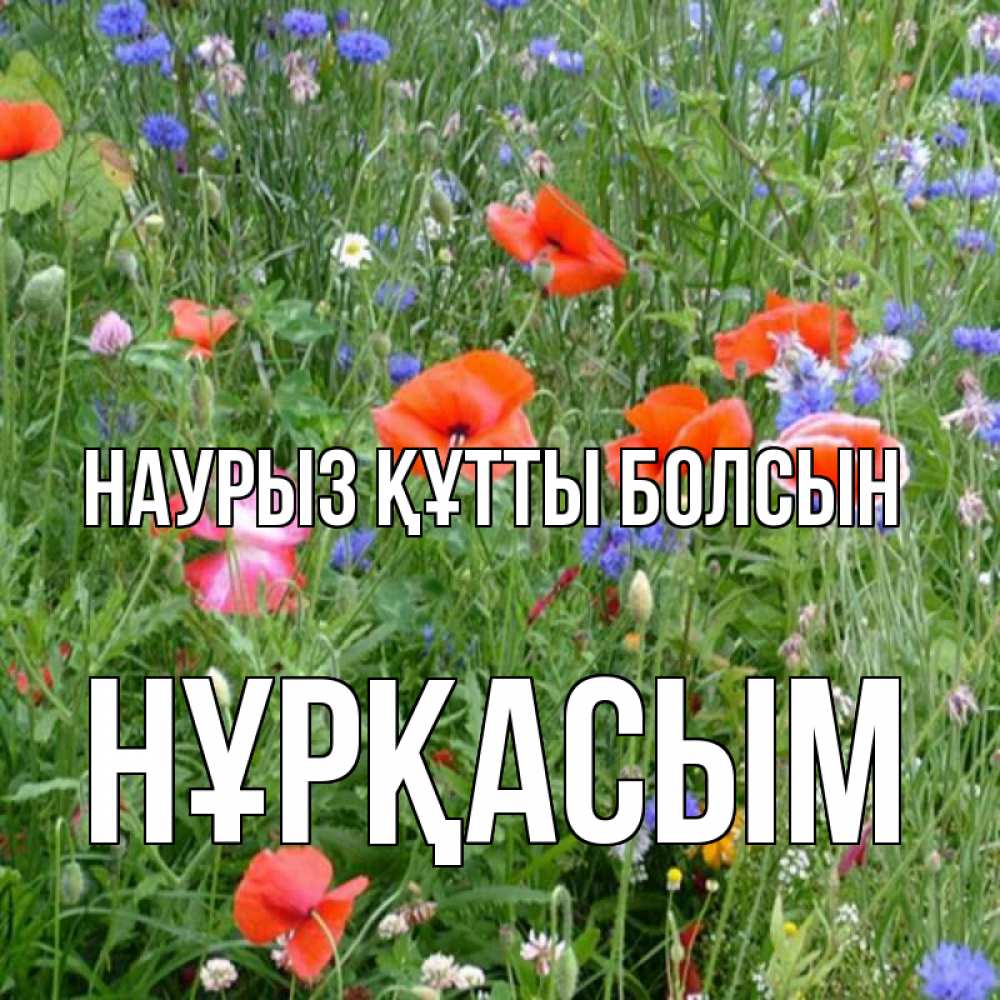 Күн сайын ашық хат с именем, НҰРҚАСЫМ Наурыз құтты болсын наурыз  4 Онлайн тегін жүктеп алу тілектері бар керемет карта 