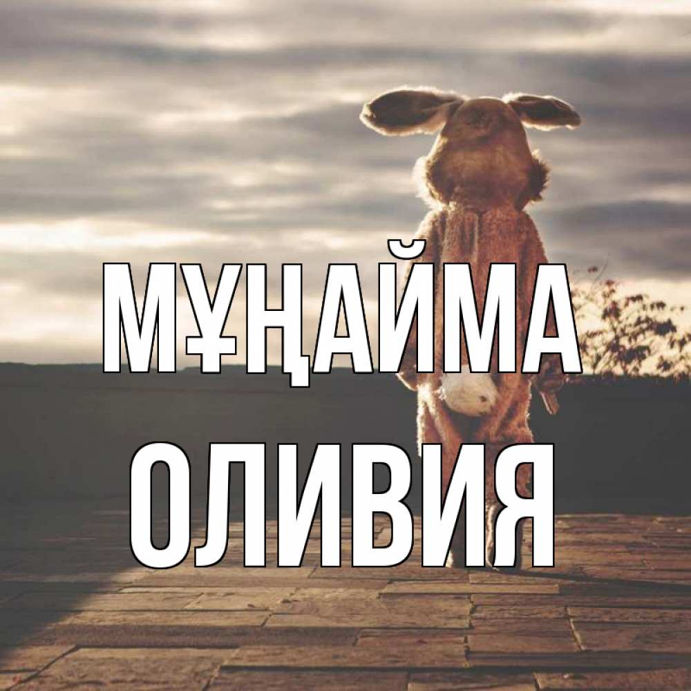 Күн сайын ашық хат с именем, Оливия Мұңайма со спины Онлайн тегін жүктеп алу тілектері бар керемет карта 
