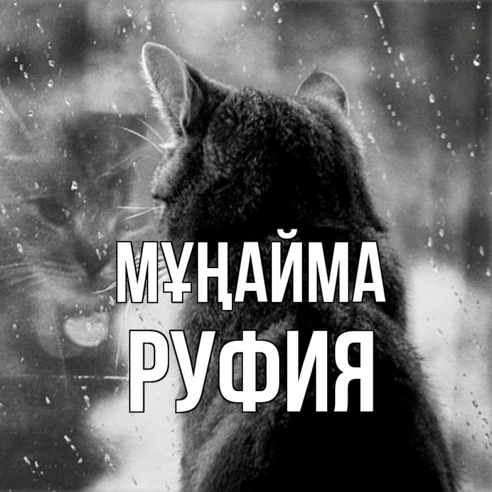 Күн сайын ашық хат с именем, РУФИЯ Мұңайма отражение кота 1 Онлайн тегін жүктеп алу тілектері бар керемет карта 