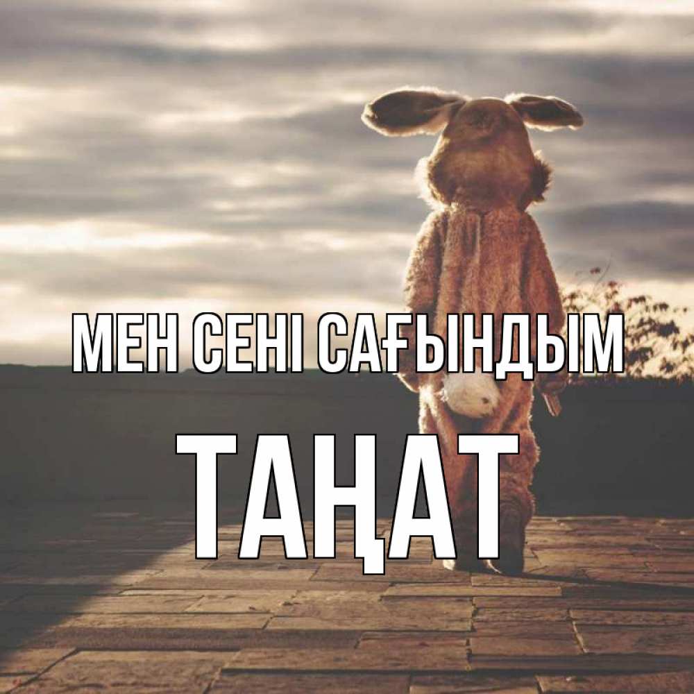 Күн сайын ашық хат с именем, ТАҢАТ Мен сені сағындым даже в костюме зайца Онлайн тегін жүктеп алу тілектері бар керемет карта 
