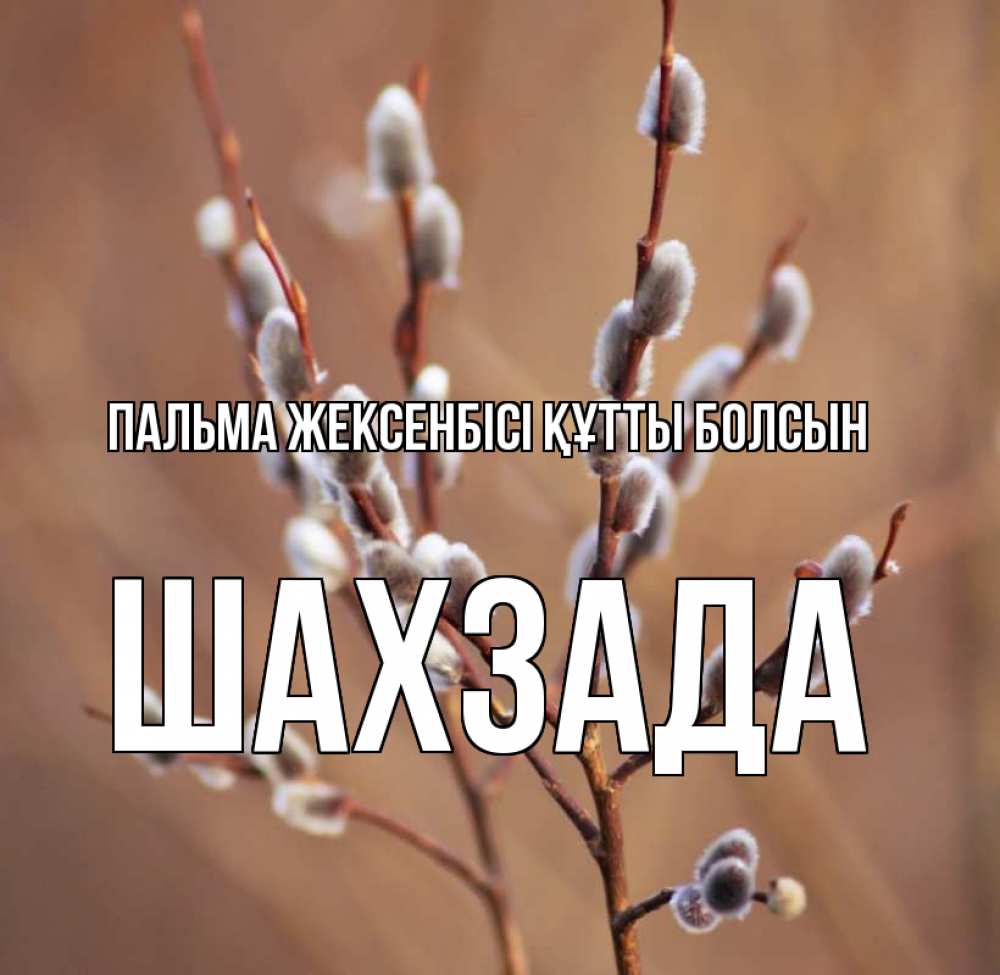 Күн сайын ашық хат с именем, ШАХЗАДА Пальма жексенбісі құтты болсын верба Онлайн тегін жүктеп алу тілектері бар керемет карта 