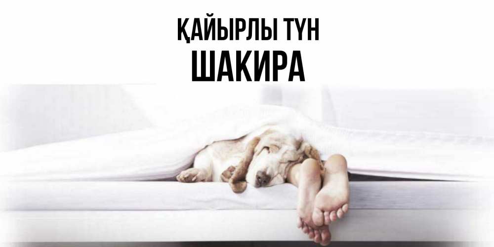 Күн сайын ашық хат с именем, Шакира Қайырлы түн кровать с собакой пожелание сладких снов и спокойной ночи Онлайн тегін жүктеп алу тілектері бар керемет карта 