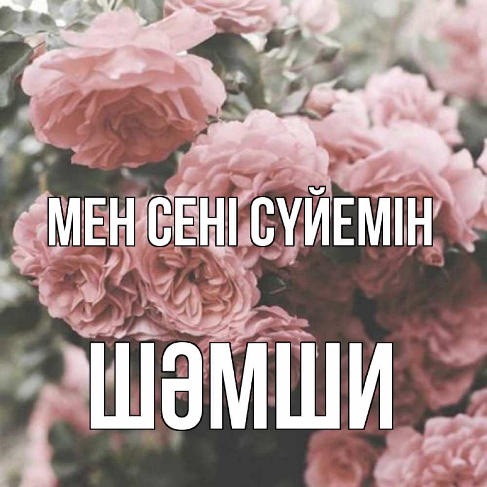 Күн сайын ашық хат с именем, ШӘМШИ Мен сені сүйемін розы 3 Онлайн тегін жүктеп алу тілектері бар керемет карта 
