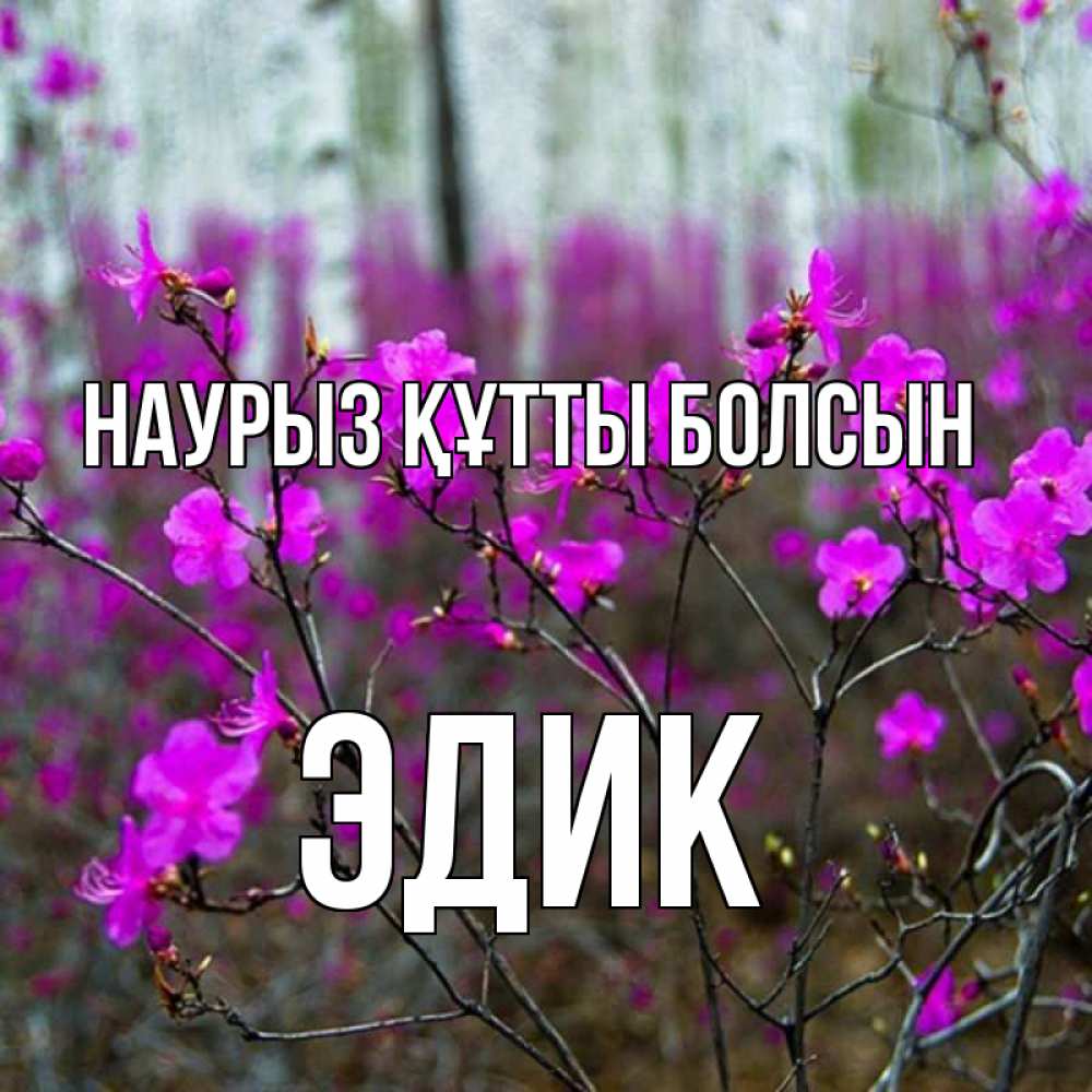 Күн сайын ашық хат с именем, Эдик Наурыз құтты болсын дикие цветы Онлайн тегін жүктеп алу тілектері бар керемет карта 
