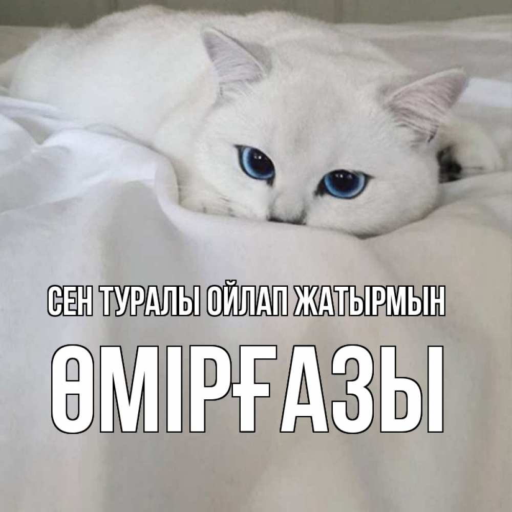 Күн сайын ашық хат с именем, ӨМІРҒАЗЫ Сен туралы ойлап жатырмын я очень по тебе скучаю и тоскую Онлайн тегін жүктеп алу тілектері бар керемет карта 