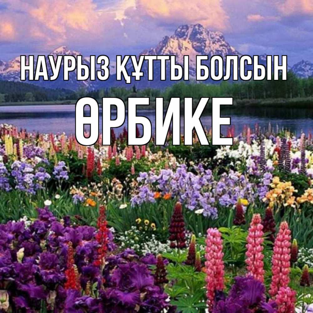 Күн сайын ашық хат с именем, ӨРБИКЕ Наурыз құтты болсын наурыз Онлайн тегін жүктеп алу тілектері бар керемет карта 