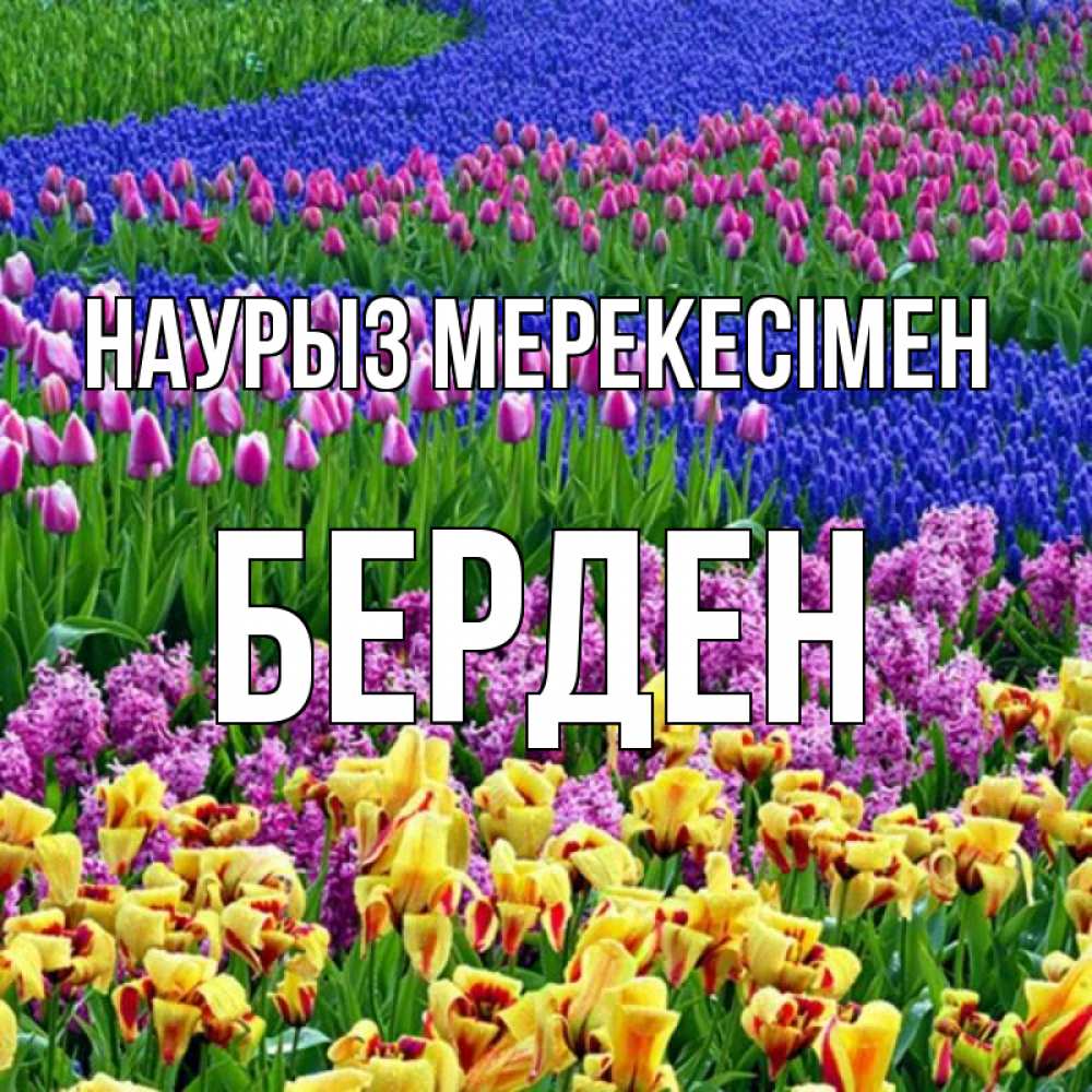 Күн сайын ашық хат с именем, Берден Наурыз мерекесімен цветы Онлайн тегін жүктеп алу тілектері бар керемет карта 