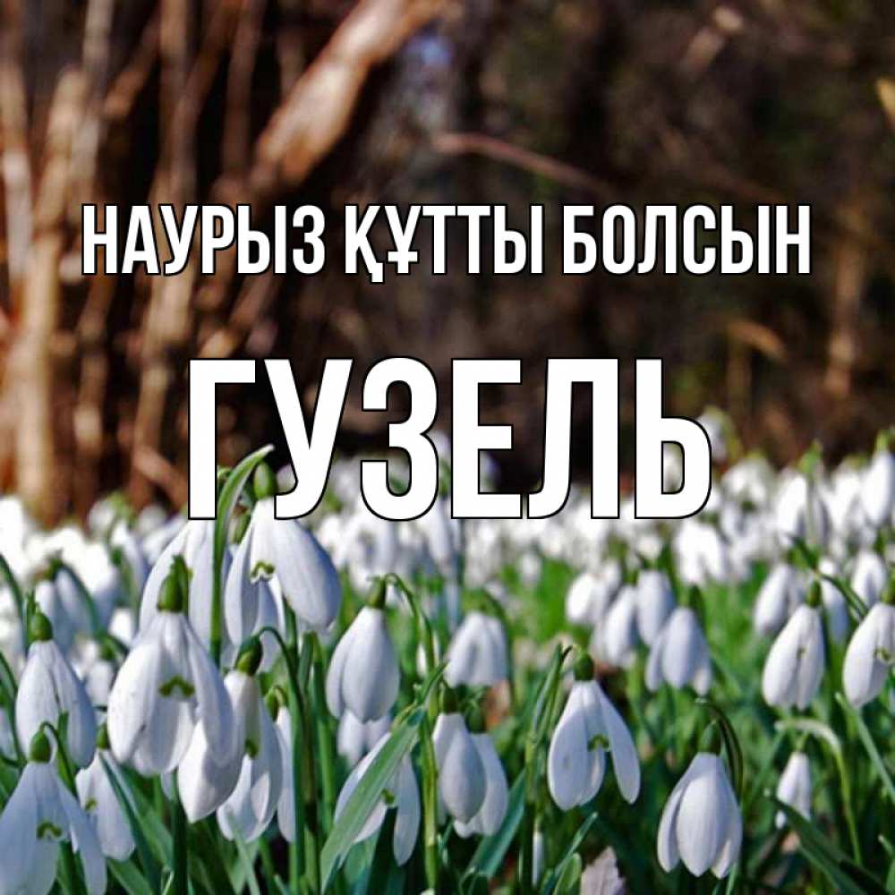 Күн сайын ашық хат с именем, Гузель Наурыз құтты болсын с подснежниками 1 Онлайн тегін жүктеп алу тілектері бар керемет карта 