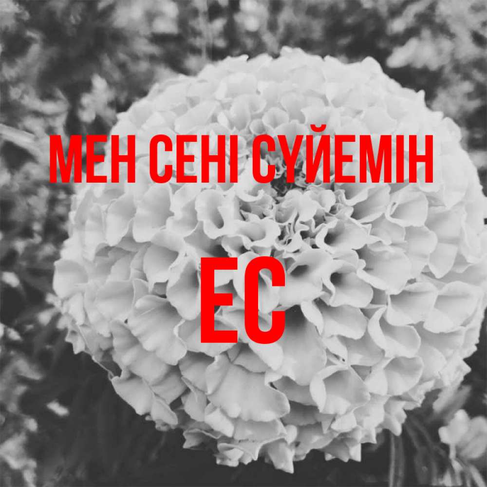 Күн сайын ашық хат с именем, Ес Мен сені сүйемін подпись Онлайн тегін жүктеп алу тілектері бар керемет карта 