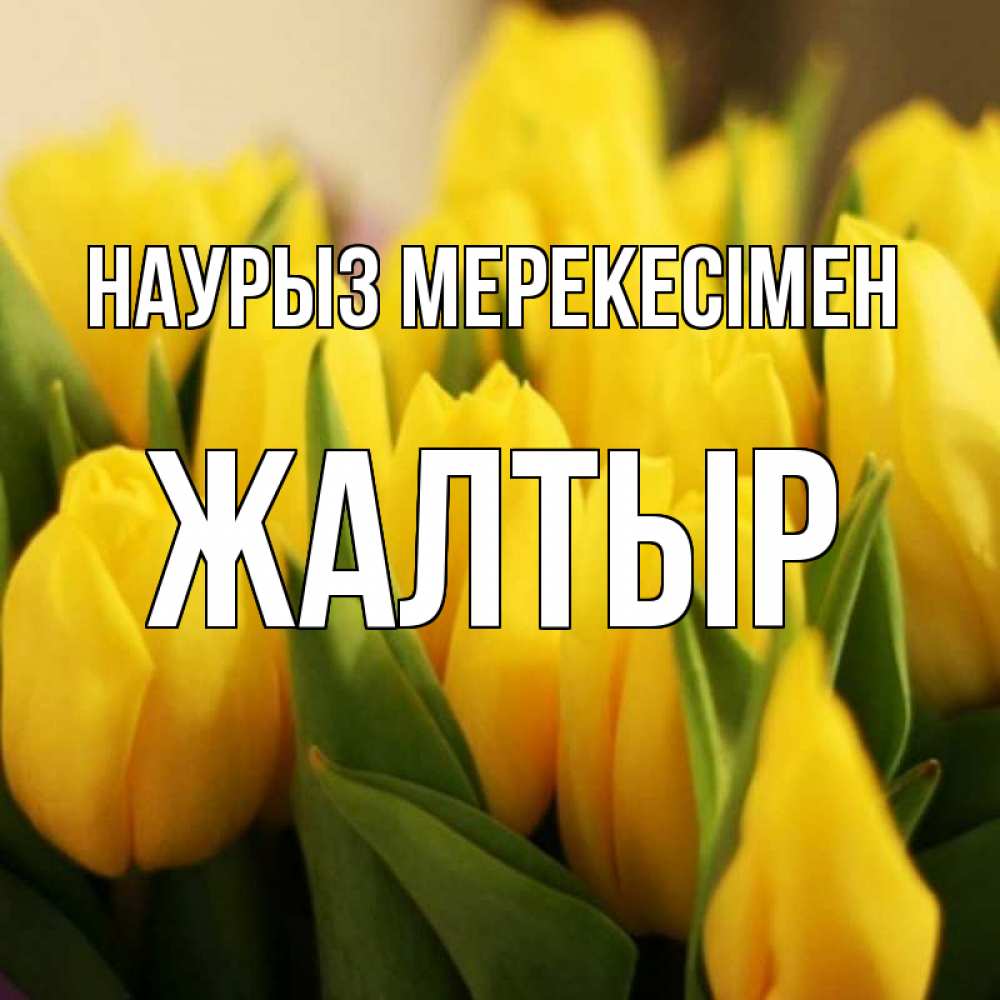 Күн сайын ашық хат с именем, Жалтыр Наурыз мерекесімен цветы Онлайн тегін жүктеп алу тілектері бар керемет карта 