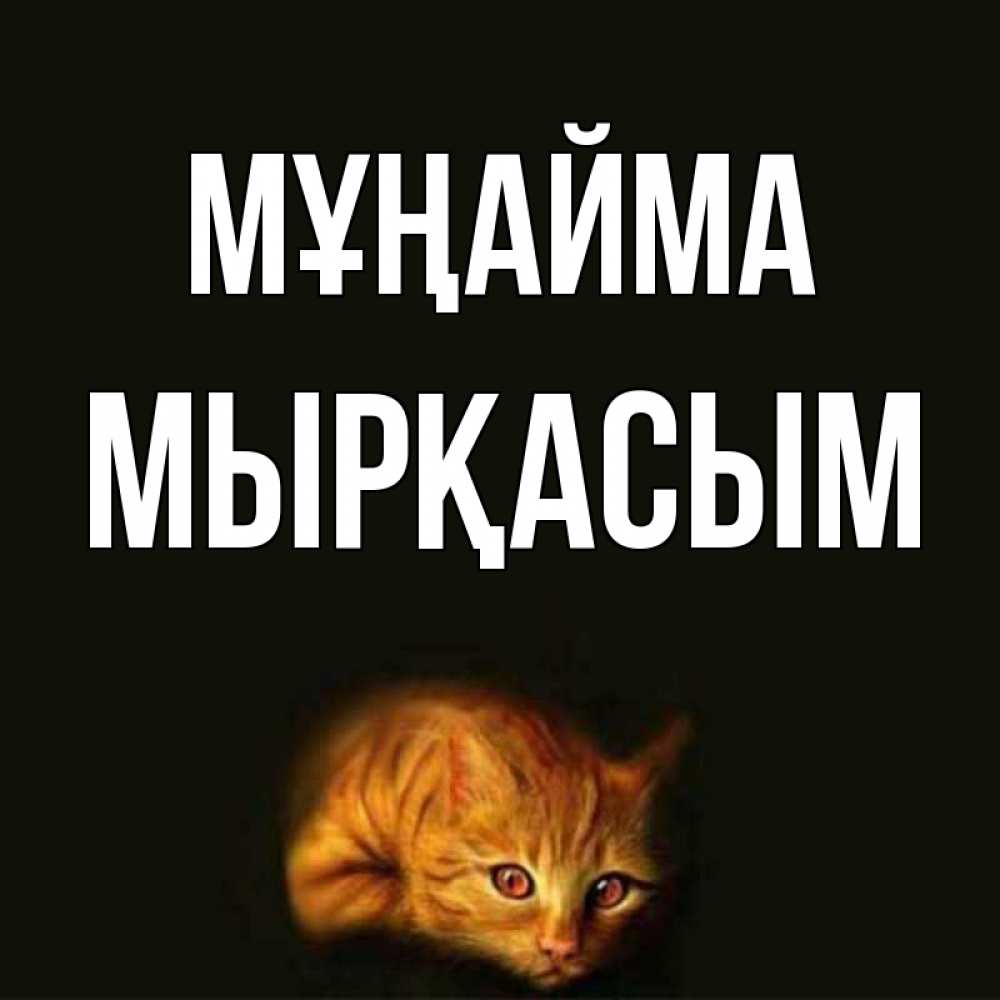 Күн сайын ашық хат с именем, МЫРҚАСЫМ Мұңайма лежащий кот в темноте Онлайн тегін жүктеп алу тілектері бар керемет карта 