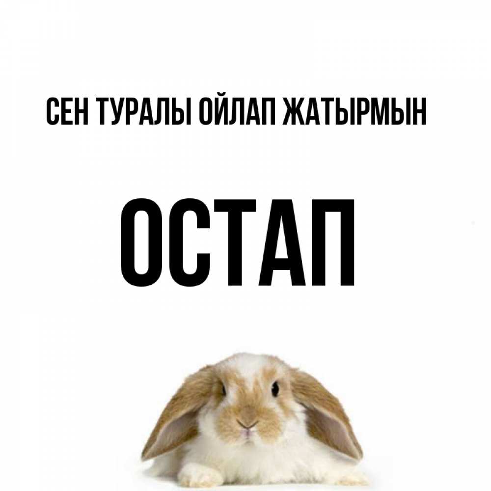 Күн сайын ашық хат с именем, Остап Сен туралы ойлап жатырмын подписать своими руками онлайн Онлайн тегін жүктеп алу тілектері бар керемет карта 