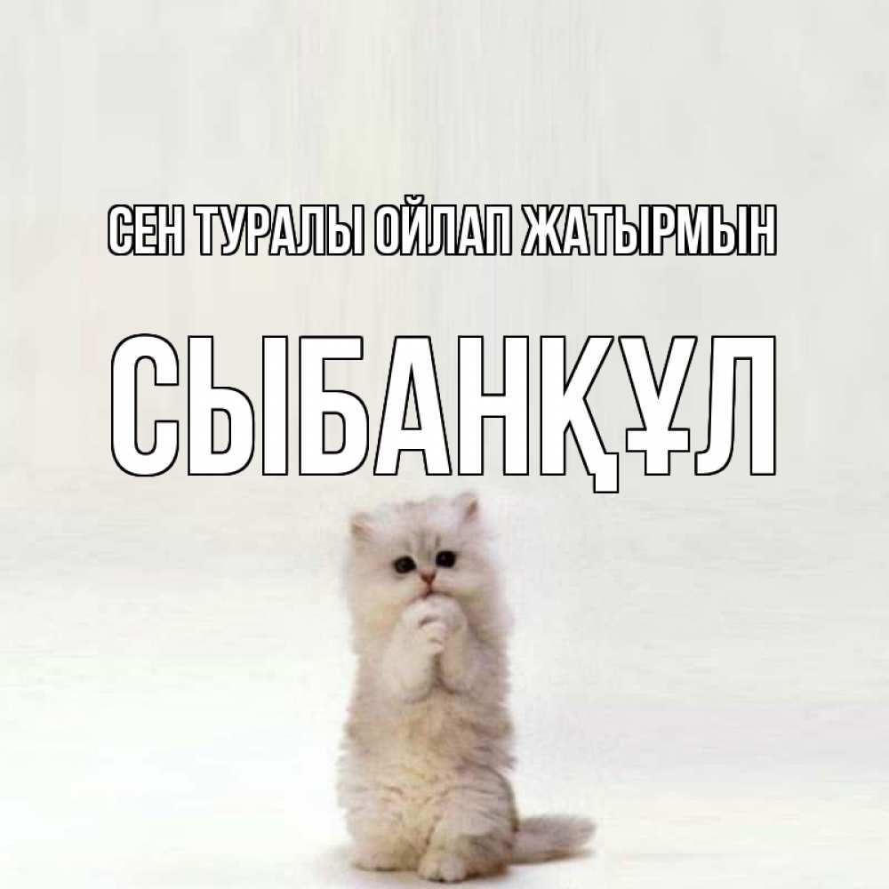 Күн сайын ашық хат с именем, СЫБАНҚҰЛ Сен туралы ойлап жатырмын кот стоит на задних лапах Онлайн тегін жүктеп алу тілектері бар керемет карта 