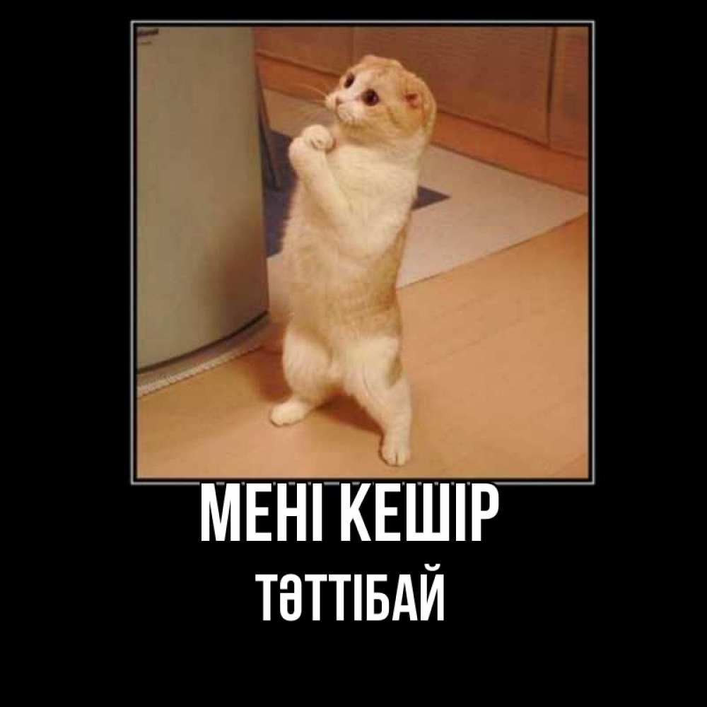 Күн сайын ашық хат с именем, ТӘТТІБАЙ Мені кешір открытка с милым несчастным котиком просящим прощения Онлайн тегін жүктеп алу тілектері бар керемет карта 