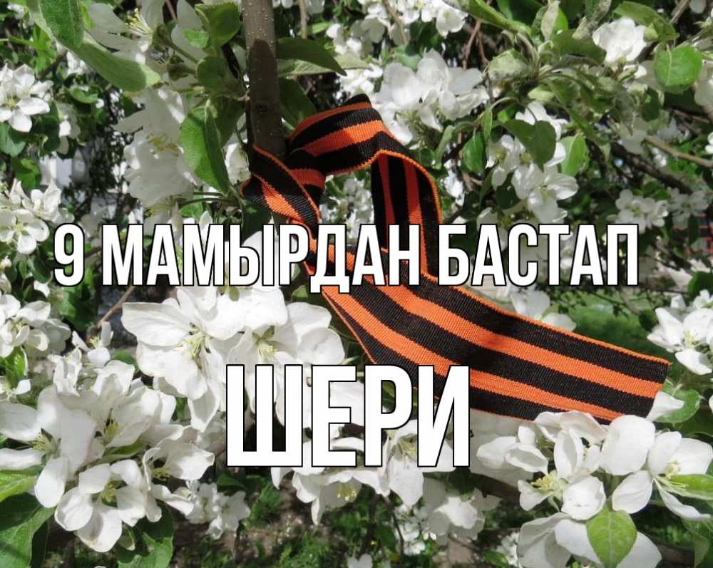 Күн сайын ашық хат с именем, ШЕРИ 9 мамырдан бастап 9 мая Онлайн тегін жүктеп алу тілектері бар керемет карта 