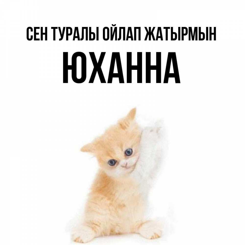 Күн сайын ашық хат с именем, Юханна Сен туралы ойлап жатырмын зверушки и милота Онлайн тегін жүктеп алу тілектері бар керемет карта 