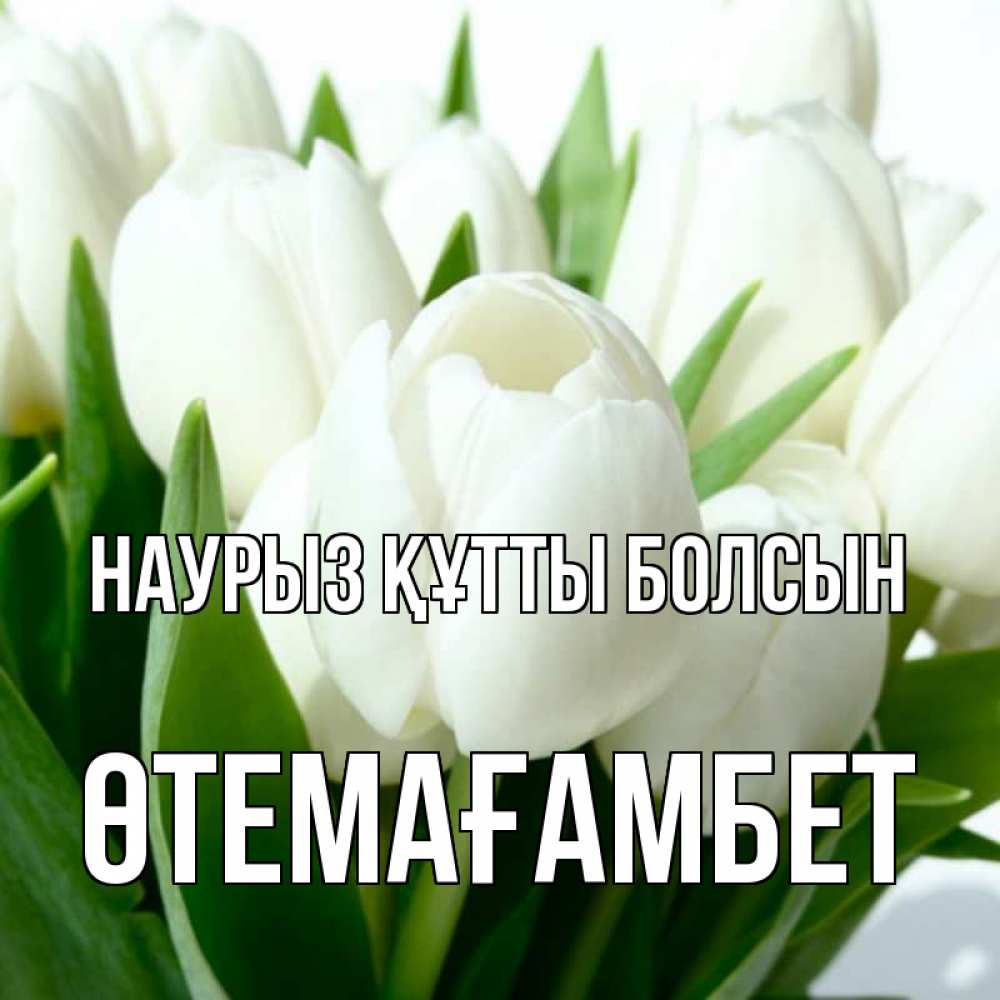 Күн сайын ашық хат с именем, ӨТЕМАҒАМБЕТ Наурыз құтты болсын цветы Онлайн тегін жүктеп алу тілектері бар керемет карта 
