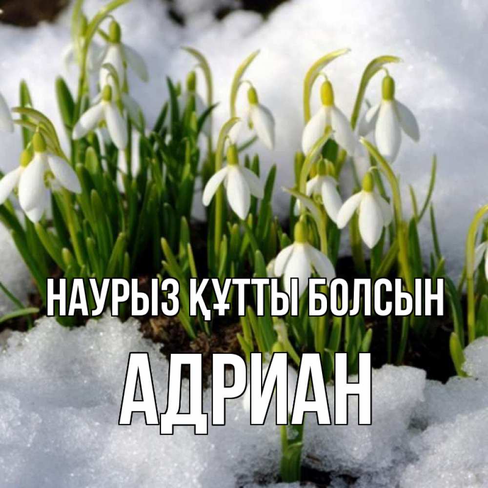 Күн сайын ашық хат с именем, Адриан Наурыз құтты болсын цветы весенние Онлайн тегін жүктеп алу тілектері бар керемет карта 