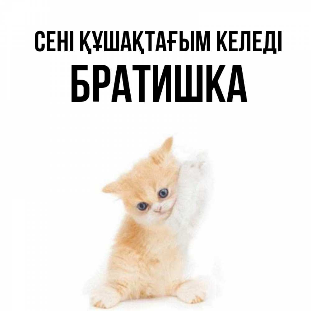 Күн сайын ашық хат с именем, Братишка сені құшақтағым келеді я хочу очень скорее обнимаешек Онлайн тегін жүктеп алу тілектері бар керемет карта 