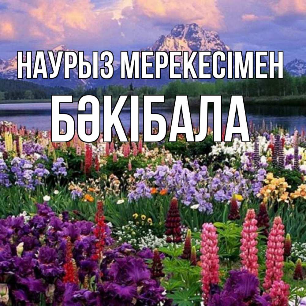 Күн сайын ашық хат с именем, БӘКІБАЛА Наурыз мерекесімен праздник весны наурыз Онлайн тегін жүктеп алу тілектері бар керемет карта 