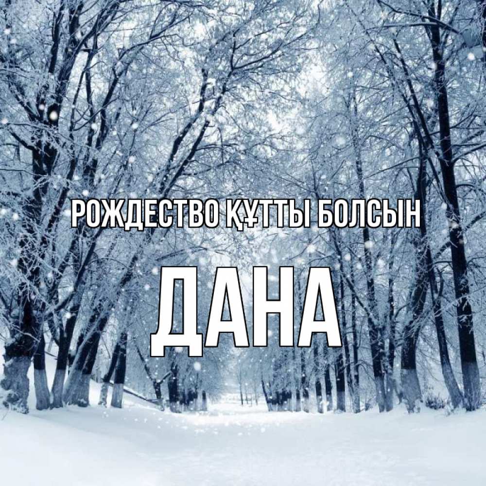 Күн сайын ашық хат с именем, ДАНА Рождество құтты болсын снег, лес, парк Онлайн тегін жүктеп алу тілектері бар керемет карта 