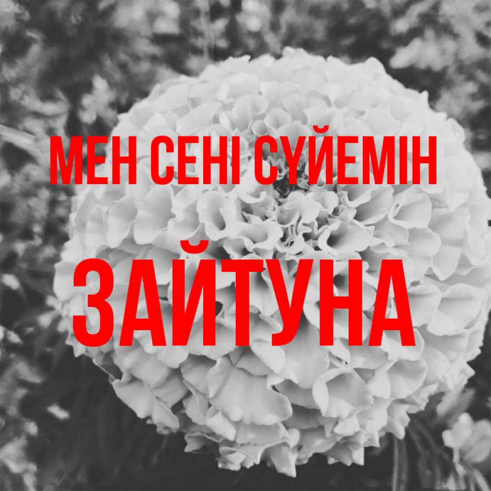 Күн сайын ашық хат с именем, ЗАЙТУНА Мен сені сүйемін подпись Онлайн тегін жүктеп алу тілектері бар керемет карта 
