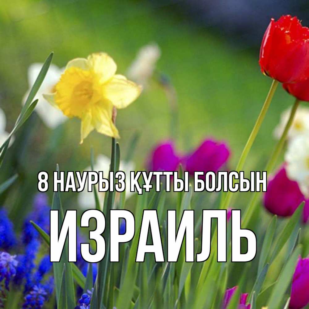 Күн сайын ашық хат с именем, Израиль 8 наурыз құтты болсын международный женский день 3 Онлайн тегін жүктеп алу тілектері бар керемет карта 