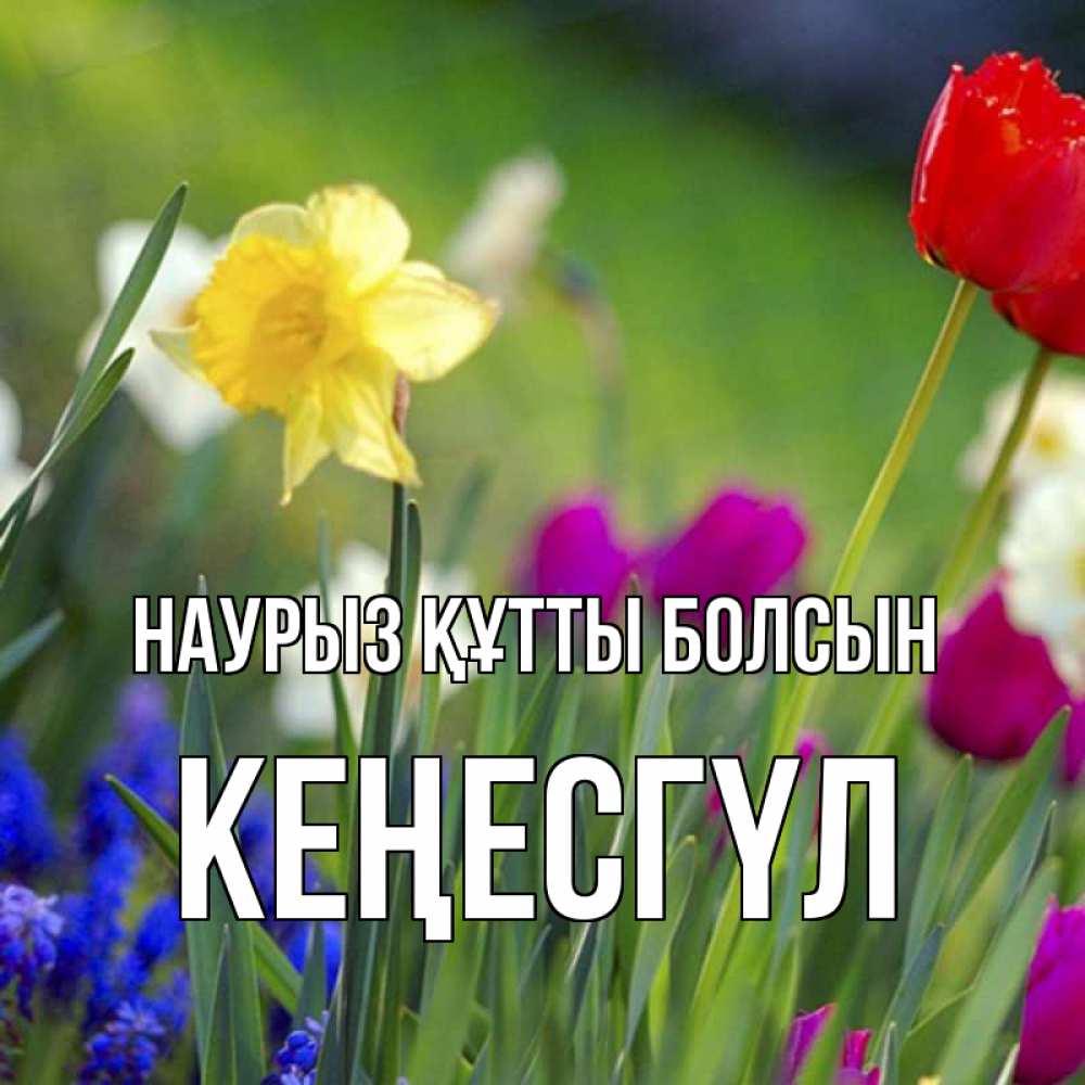Күн сайын ашық хат с именем, КЕҢЕСГҮЛ Наурыз құтты болсын наурыз  3 открытки Онлайн тегін жүктеп алу тілектері бар керемет карта 