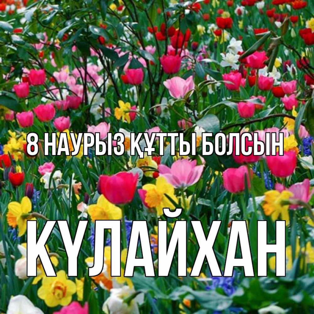 Күн сайын ашық хат с именем, КҮЛАЙХАН 8 наурыз құтты болсын с международным женским днем поздравления для женщины Онлайн тегін жүктеп алу тілектері бар керемет карта 