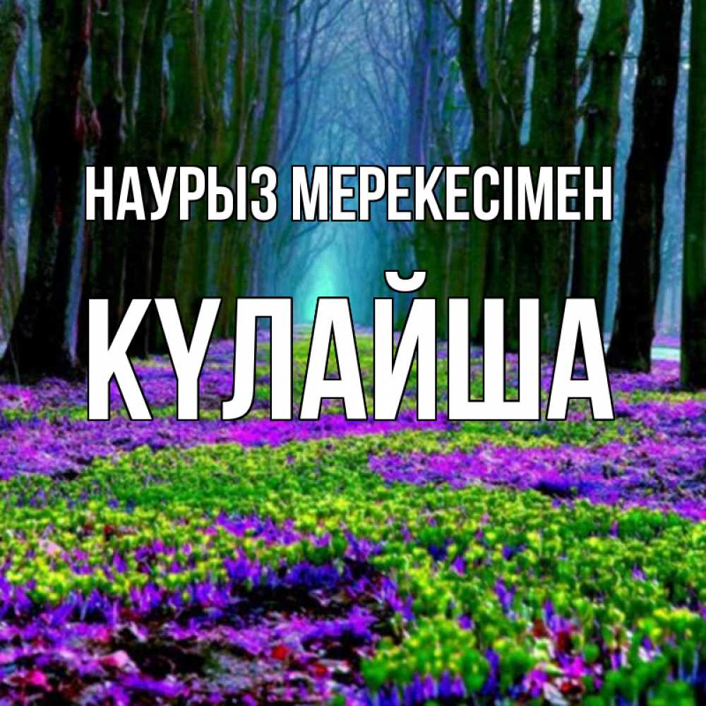 Күн сайын ашық хат с именем, КҮЛАЙША Наурыз мерекесімен фиолетовые цветы в лесу 1 Онлайн тегін жүктеп алу тілектері бар керемет карта 