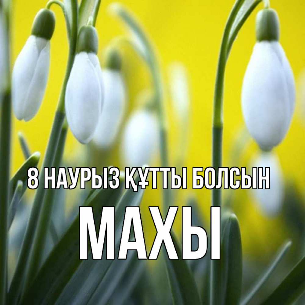 Күн сайын ашық хат с именем, МАХЫ 8 наурыз құтты болсын весенние цветы Онлайн тегін жүктеп алу тілектері бар керемет карта 
