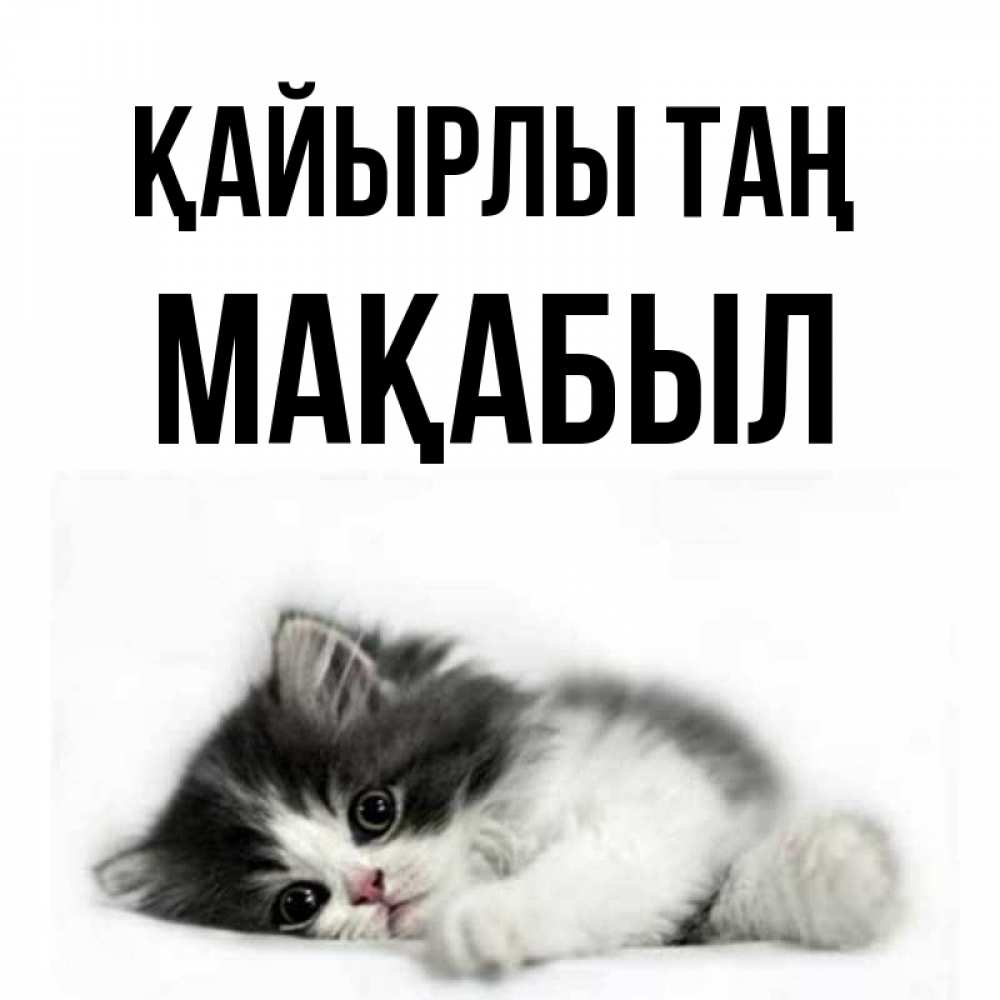 Күн сайын ашық хат с именем, МАҚАБЫЛ Қайырлы таң кот лапки Онлайн тегін жүктеп алу тілектері бар керемет карта 