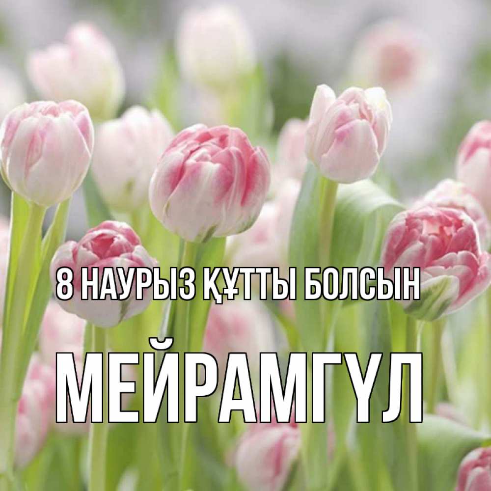 Күн сайын ашық хат с именем, МЕЙРАМГҮЛ 8 наурыз құтты болсын цветы Онлайн тегін жүктеп алу тілектері бар керемет карта 