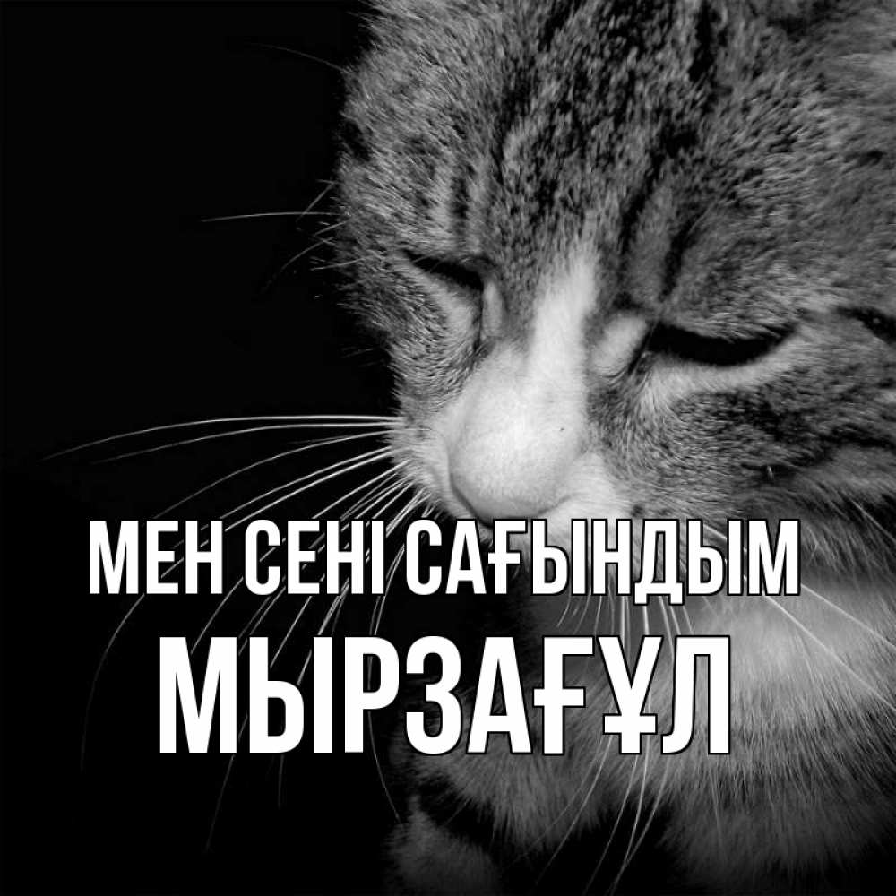 Күн сайын ашық хат с именем, Мырзағұл Мен сені сағындым мне скучно Онлайн тегін жүктеп алу тілектері бар керемет карта 