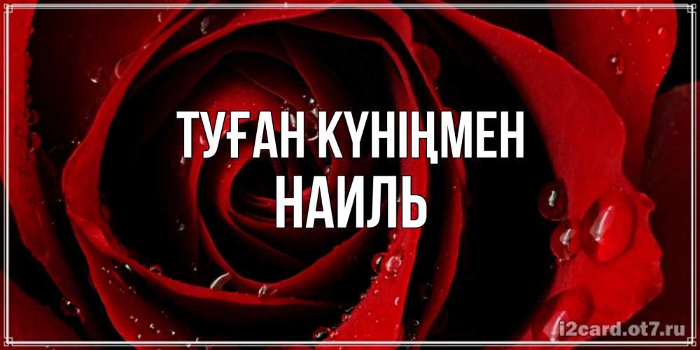 Күн сайын ашық хат с именем, Наиль Туған күніңмен крупная бордовая роза Онлайн тегін жүктеп алу тілектері бар керемет карта 