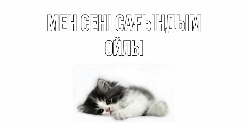 Күн сайын ашық хат с именем, ОЙЛЫ Мен сені сағындым кот, скука Онлайн тегін жүктеп алу тілектері бар керемет карта 