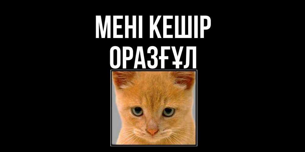 Күн сайын ашық хат с именем, ОРАЗҒҰЛ Мені кешір рыжий грустный кот просит прощения Онлайн тегін жүктеп алу тілектері бар керемет карта 