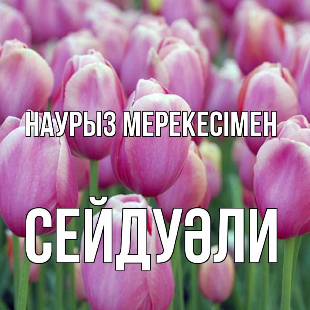 Күн сайын ашық хат с именем, СЕЙДУӘЛИ Наурыз мерекесімен праздник весны наурыз 69 Онлайн тегін жүктеп алу тілектері бар керемет карта 