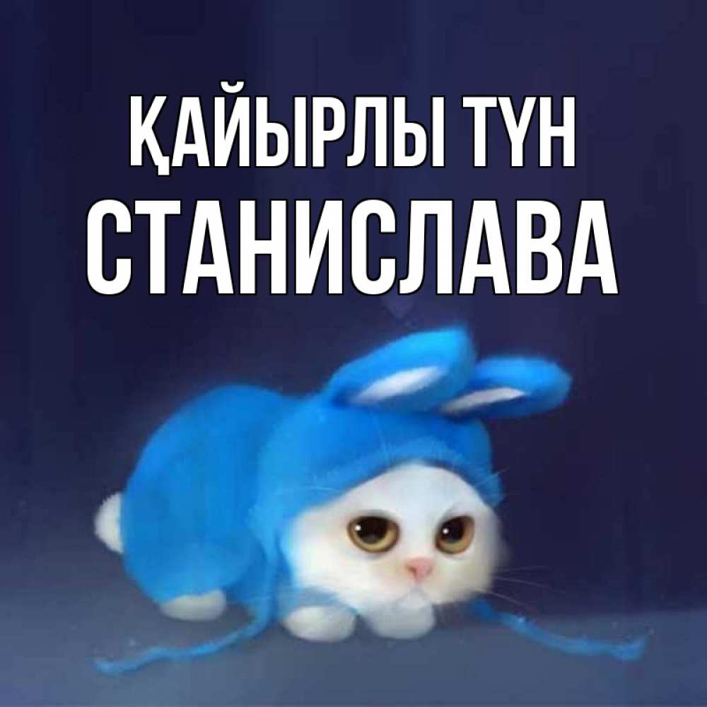 Күн сайын ашық хат с именем, Станислава Қайырлы түн кот в голубом костюме кролика с ушками Онлайн тегін жүктеп алу тілектері бар керемет карта 