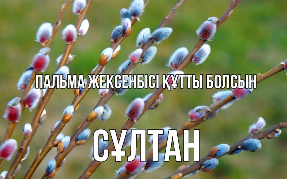 Күн сайын ашық хат с именем, СҰЛТАН Пальма жексенбісі құтты болсын верба Онлайн тегін жүктеп алу тілектері бар керемет карта 